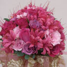 ピンク　ロココ