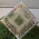 四角いたんぽぽ