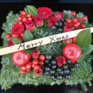 クッションリース